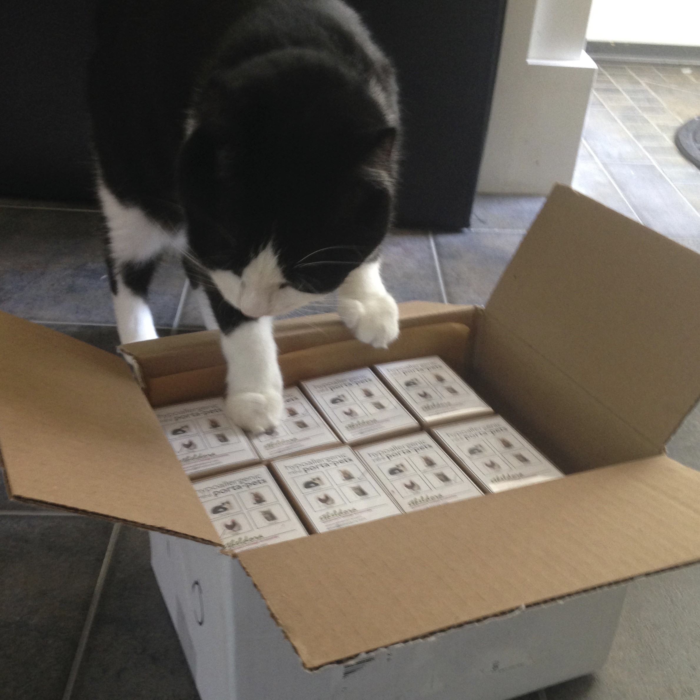 quality control is everything  … mini pets for art-o-mat